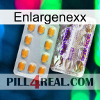 Enlargenexx new12